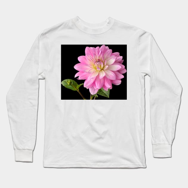 Dahlia Long Sleeve T-Shirt by richard49